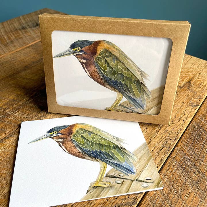 Green Heron - Set of 4 Notecards for wholesale by Amy Shawley Paquette