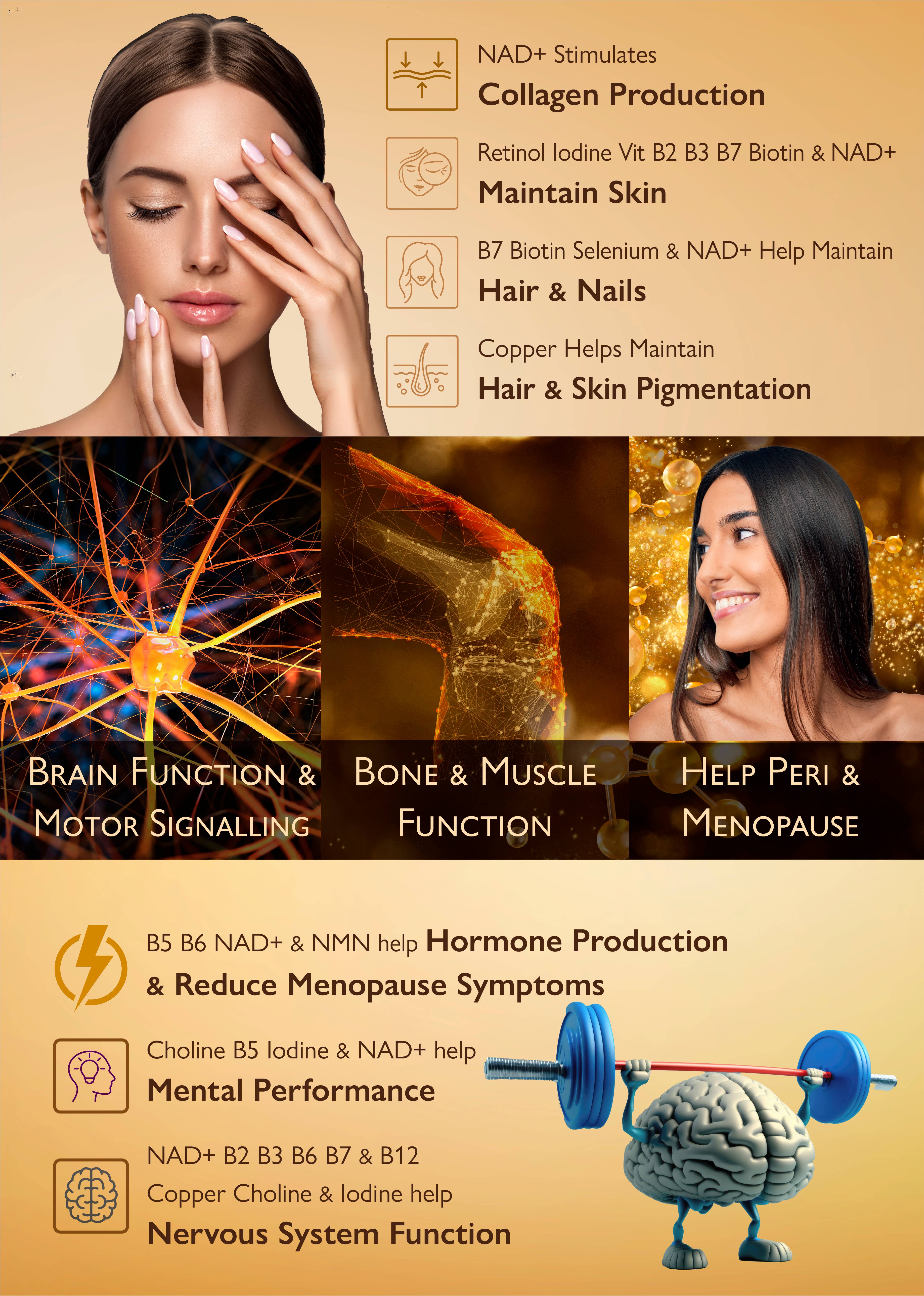 BioTech Life Sciences - Venta al por mayor Suplementos/vitaminas para beber - Cápsulas de NMN Resveratrol CoQ10 vitaminas de Té Verde: Energise-X4