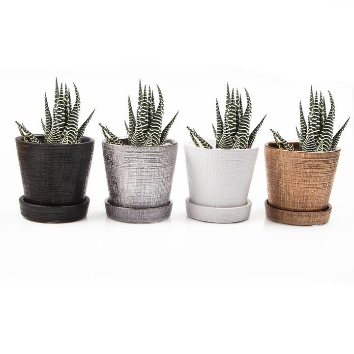 Chive - Wholesale Plant Pot - Mick Planter Pots With Drainage Holes Bulk SALE SALE4