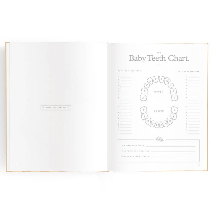 Fox & Fallow - Wholesale Memory book – Child & baby - Baby Book Coffee Stripe19