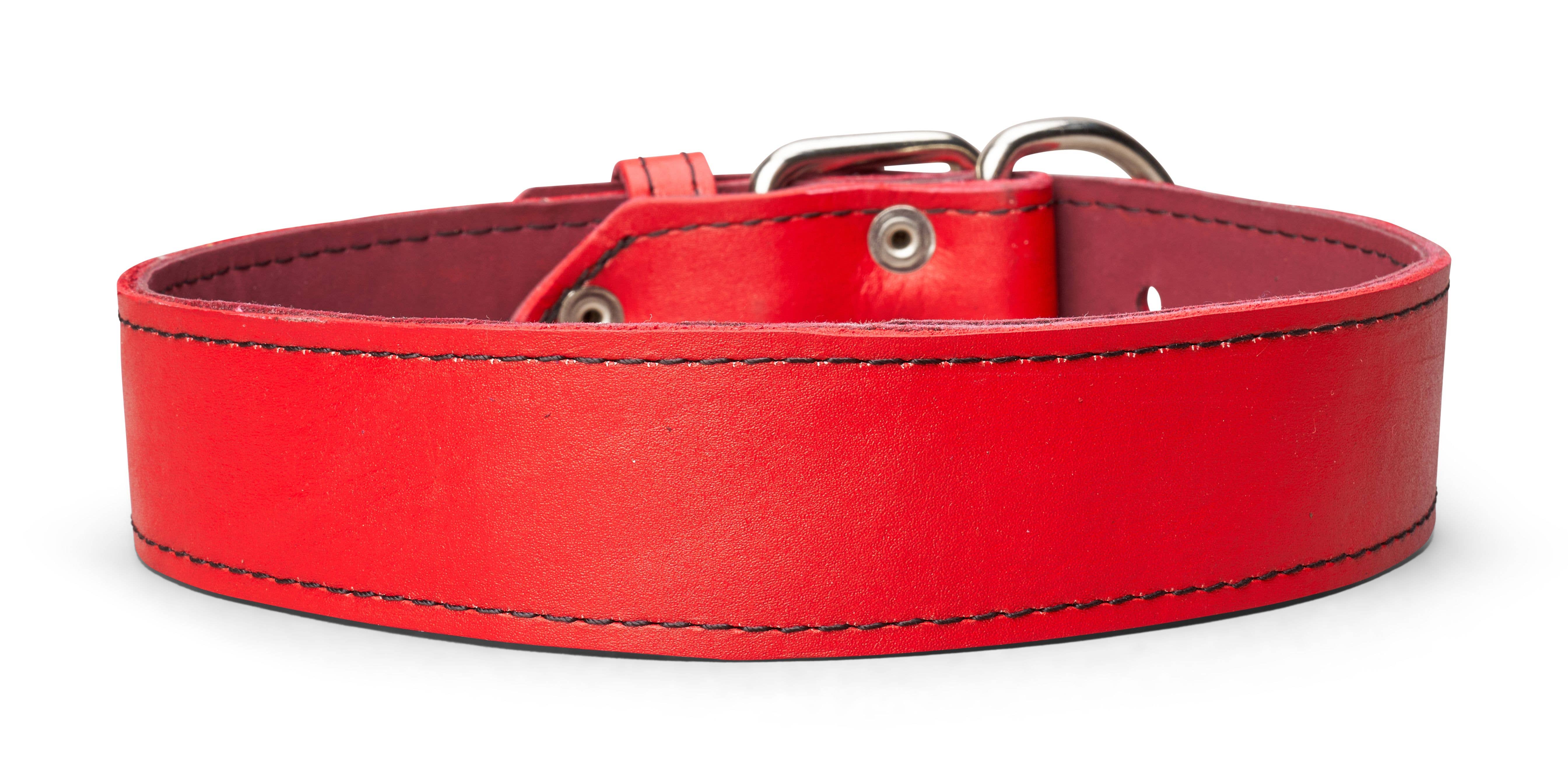 TOP DOG BRAND INC - Wholesale Pet Collar - Dog - 1 3/4 Inch Wide Plain Leather Collars6