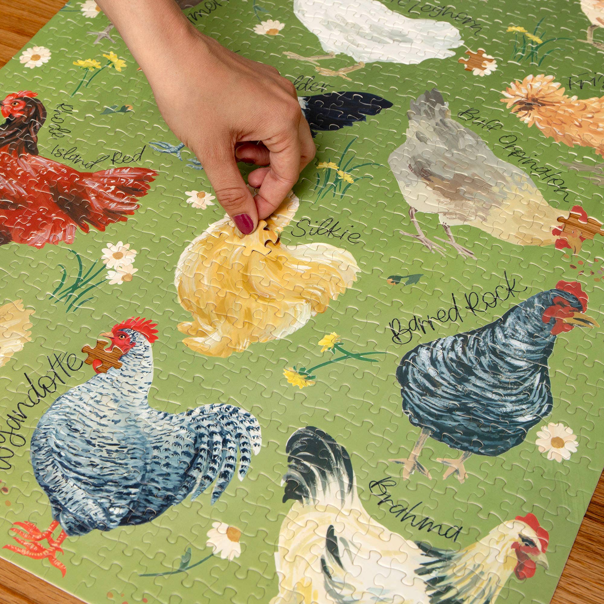 1canoe2 | One Canoe Two Paper Co. - Wholesale Puzzle - Adult - Chicken Meadows - 1,000 Piece Jigsaw Puzzle6