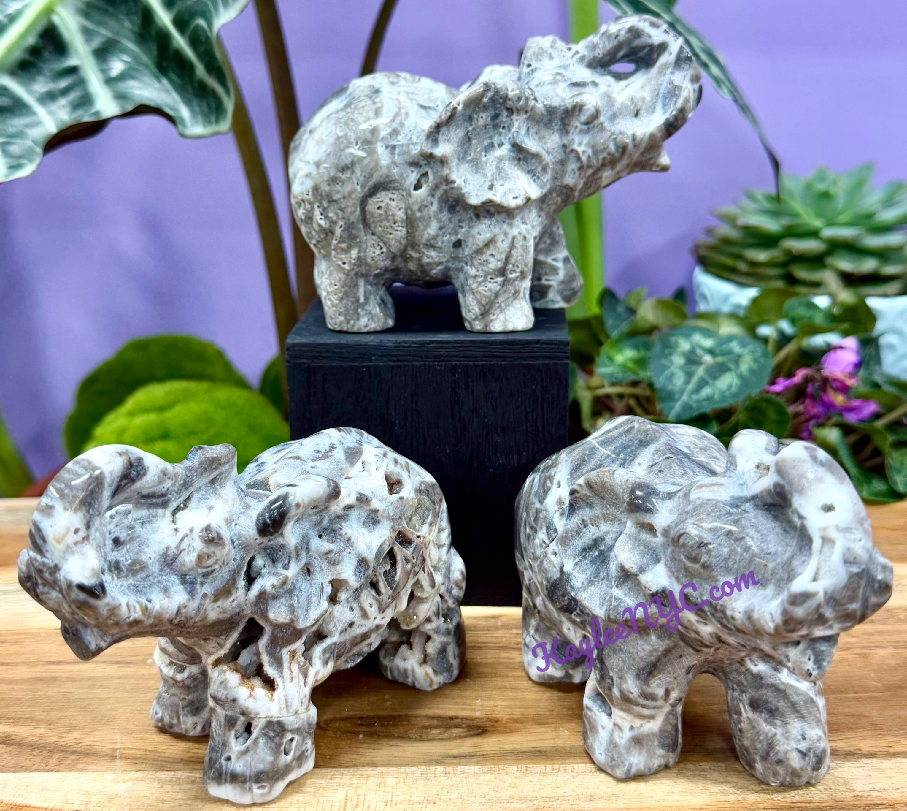 KayleeNYC - Wholesale Spiritual Stone/Crystal - Natural Sphalerite Elephants Healing Energy2