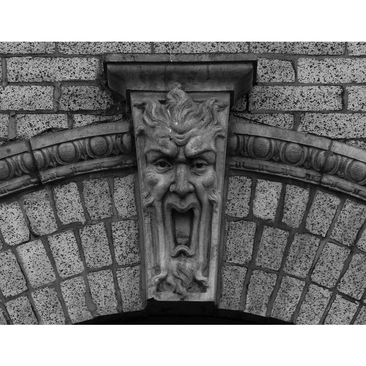 W. W. Norton - Wholesale Book - Adult - Figures in Stone: Architectural Sculpture in New York City1