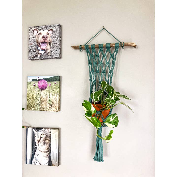 Why Knot - Wholesale Hanging Planter - Wall Plant Hanger - Handmade Macrame Pot Holders3