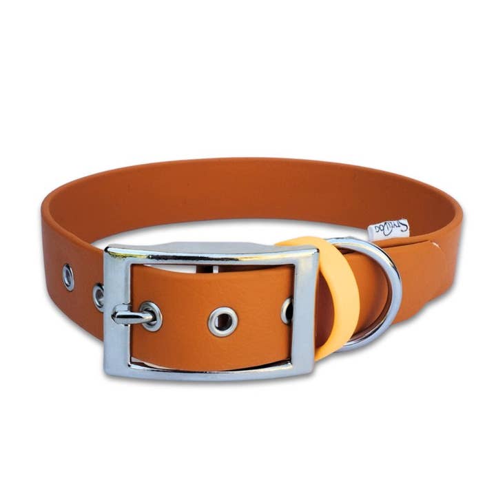 Carrot Biothane hundehalsbånd håndlavet i Frankrig for engroshandel hos Stylidog