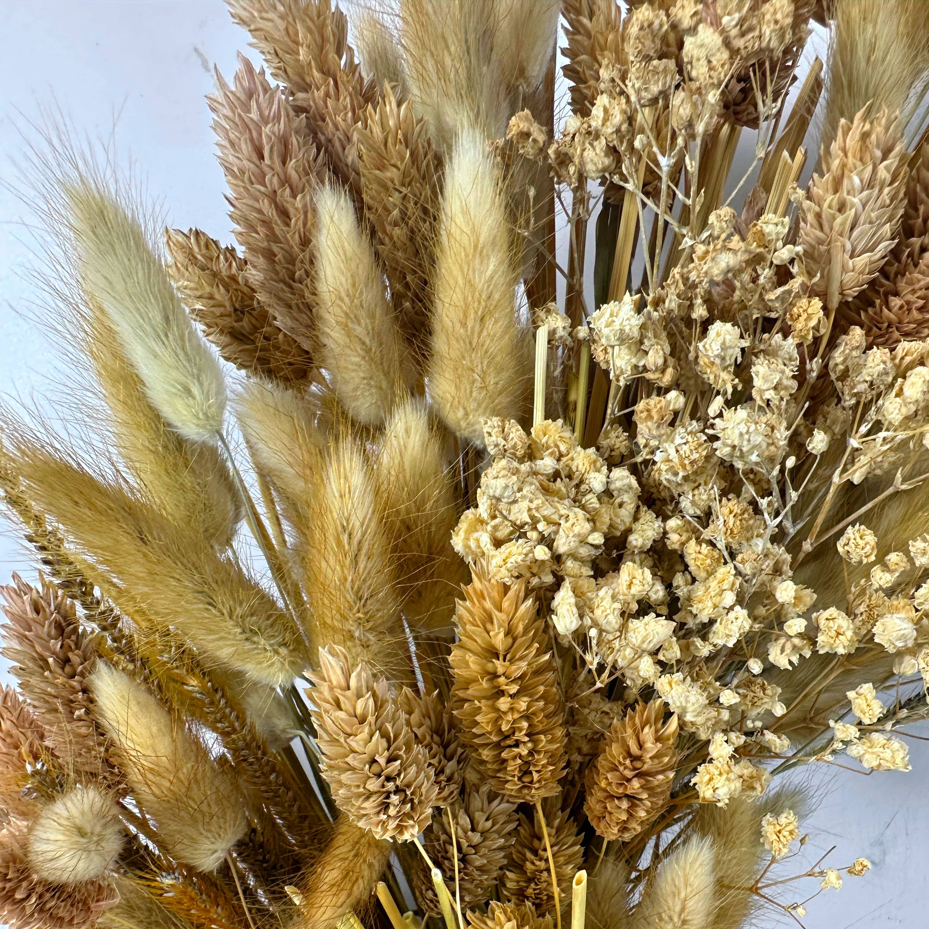 Galt International Company - Venta al por mayor Corona - Corona Otoñal de Hierba de Trigo Dorada Preservada Secada de 53 cm3