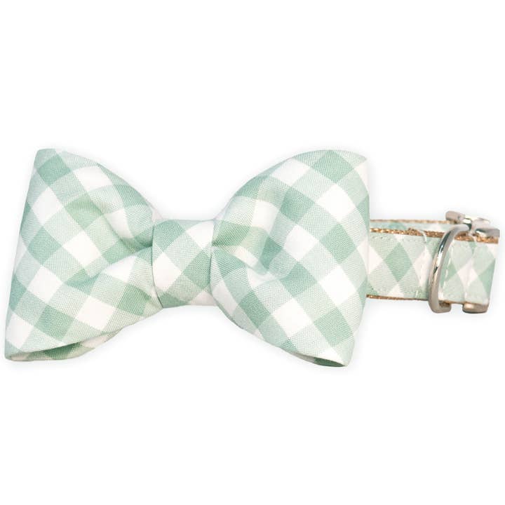 Collier pour chien Sage Check Bow Tie pour la vente par Crew LaLa
