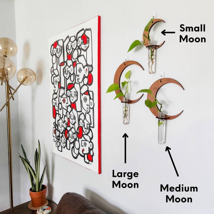Leaf & Node - Wholesale Hanging Planter - Wall Hanging Propagation Station - Moon Test Tube Holder7