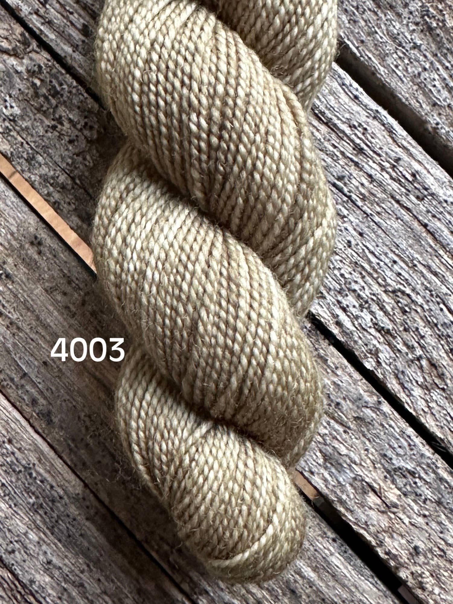 Koigu Wool Designs – wholesale Garn – KPM (halvfasta ämnen) Del 2 Fingring (5/påse)20
