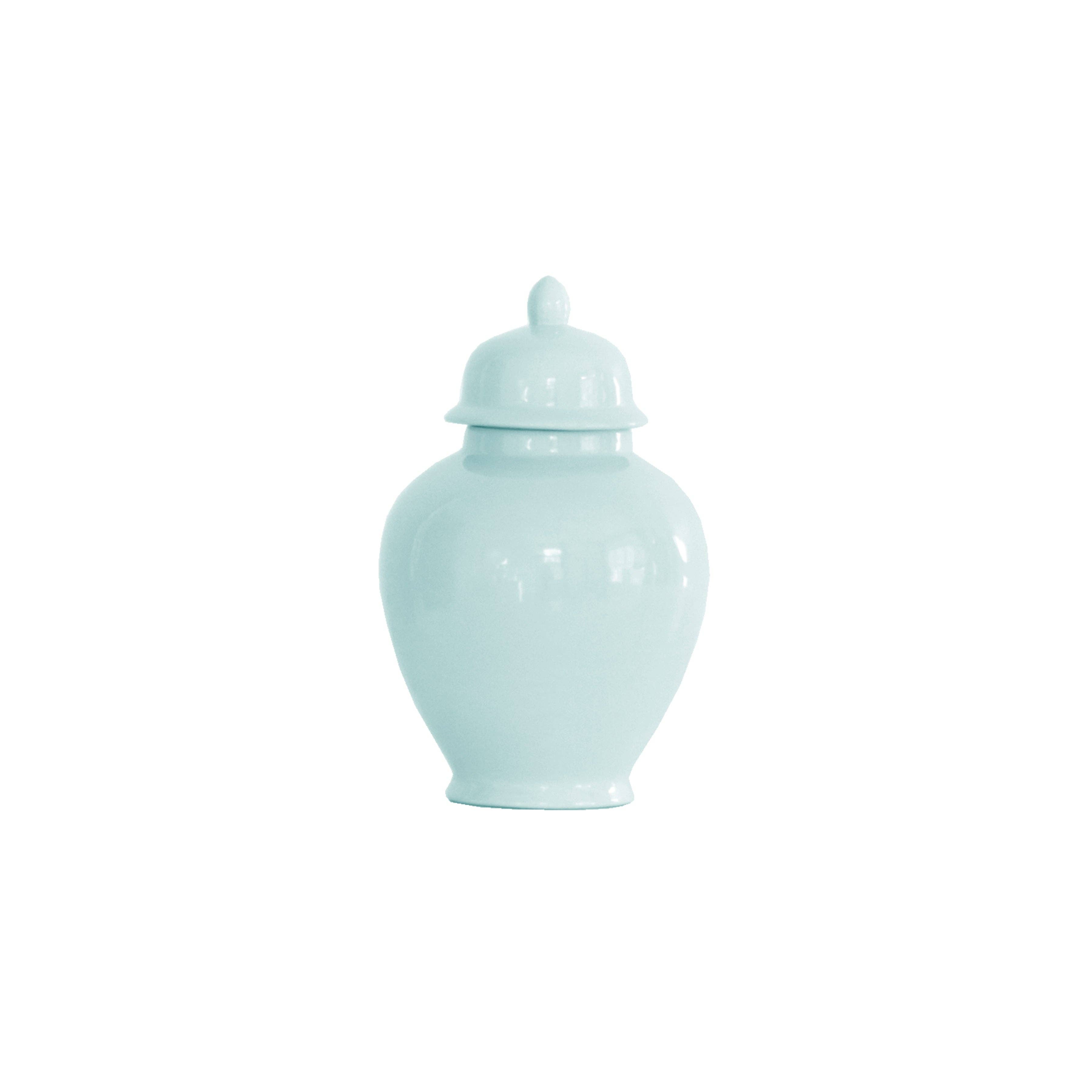 Lo Home | Ruby Clay - Wholesale Decorative Jar - Robin's Egg Blue Ginger Jars0