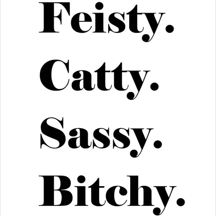Quippy Brand - Wholesale Birthday Card - Feisty. Caddy. Sassy. Bitchy.
