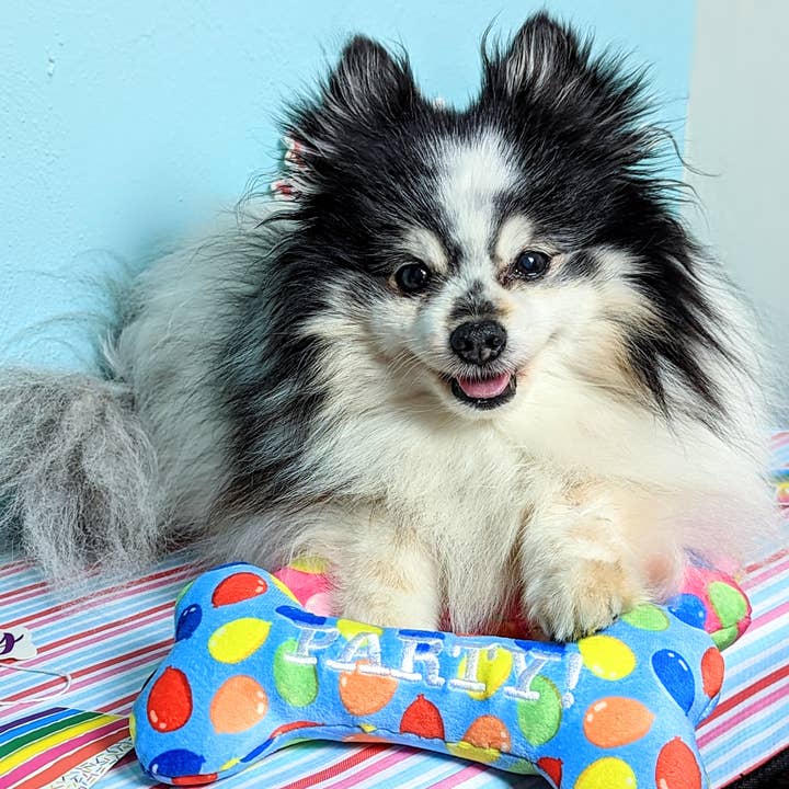 Huxley & Kent - Wholesale Pet Plush Toy - Dog - Party Time Bone Blue Dog Toy