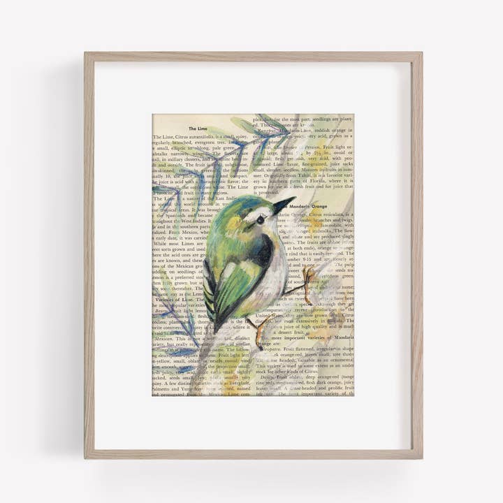 Marydean Draws - Wholesale Art Print - Rifleman Bird Painting on Gardening Book Page Print, 5x70