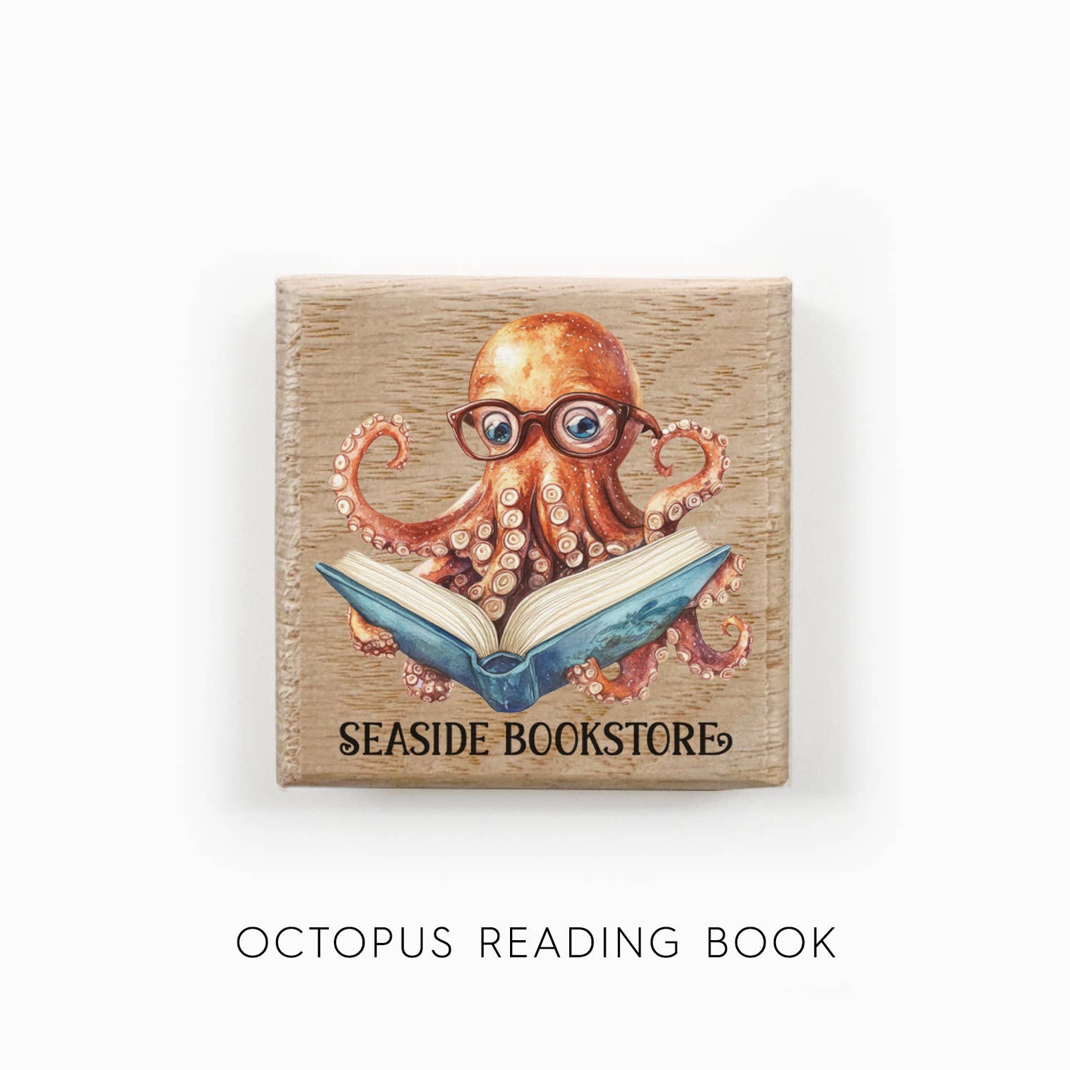 Hangout Home - Vendita all'ingrosso Calamite - Calamite da Frigo Personalizzate per Libreria Animali Carini che Leggono Libri11