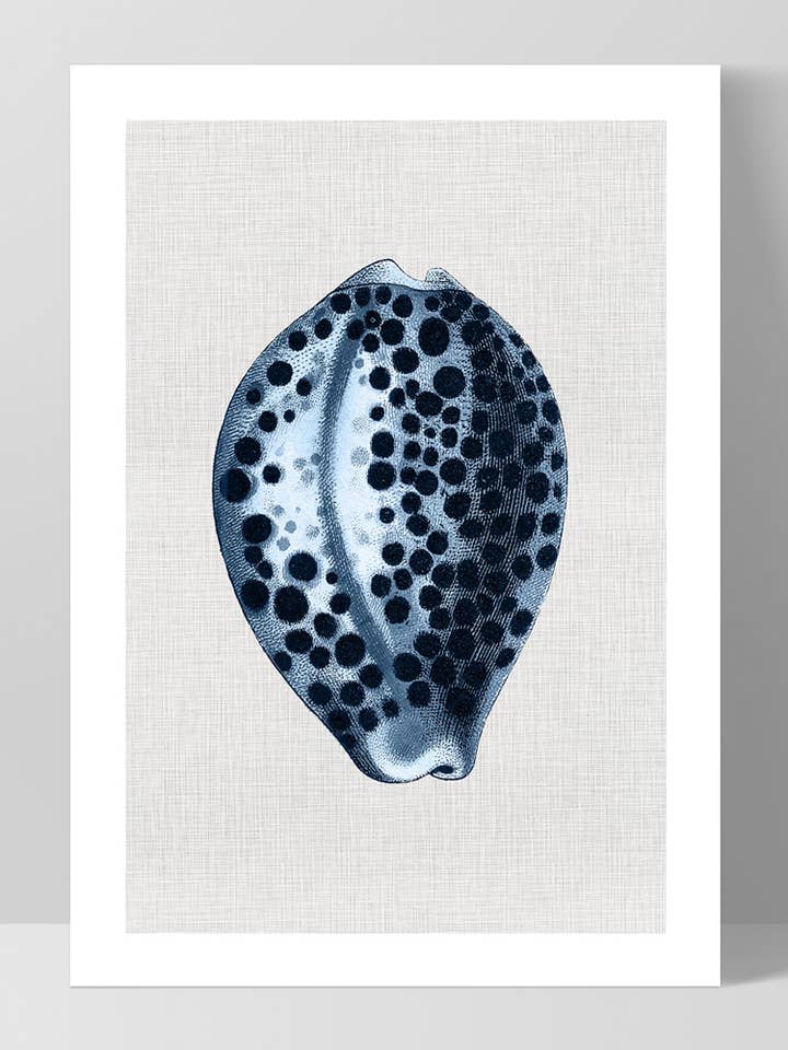Sea Shell vægkunst. Navy Paua Shell hørtekstur kunsttryk for engroshandel hos PRINT AND PROPER