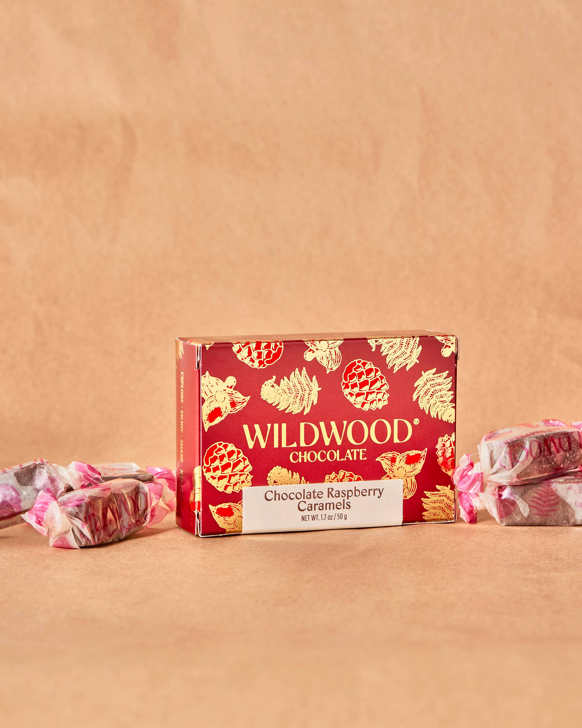Wildwood Chocolate - Wholesale Chocolate Box - Chocolate Raspberry Caramel - Small Box Case 1