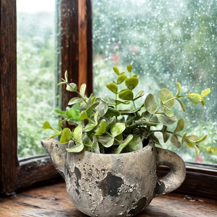 Pot à Succulentes Rustique en Béton en Forme de Théière pour la vente par Vagabond Vintage