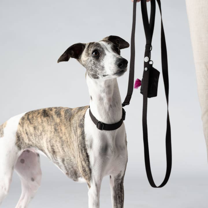 Barkalot - Wholesale Pet Leash - Dog - Pitch Black Dog Leash2