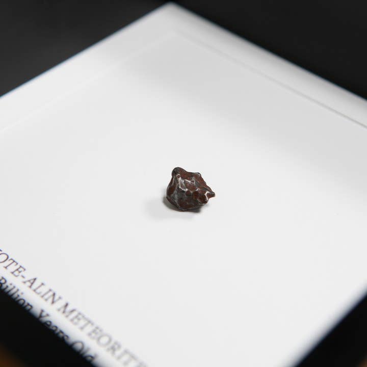 Curated Studio – Großhandel Tischdeko – Sikhote-Alin Meteorite, echter, authentischer Meteoriten-Rahmen