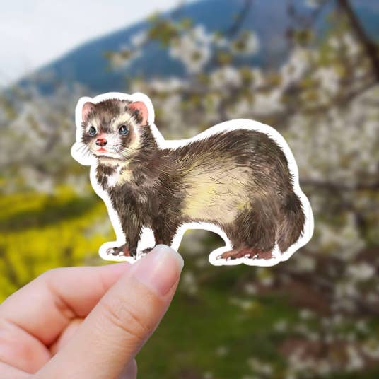 Ferret Watercolor Vinyl Sticker for wholesale by Sweet Humors