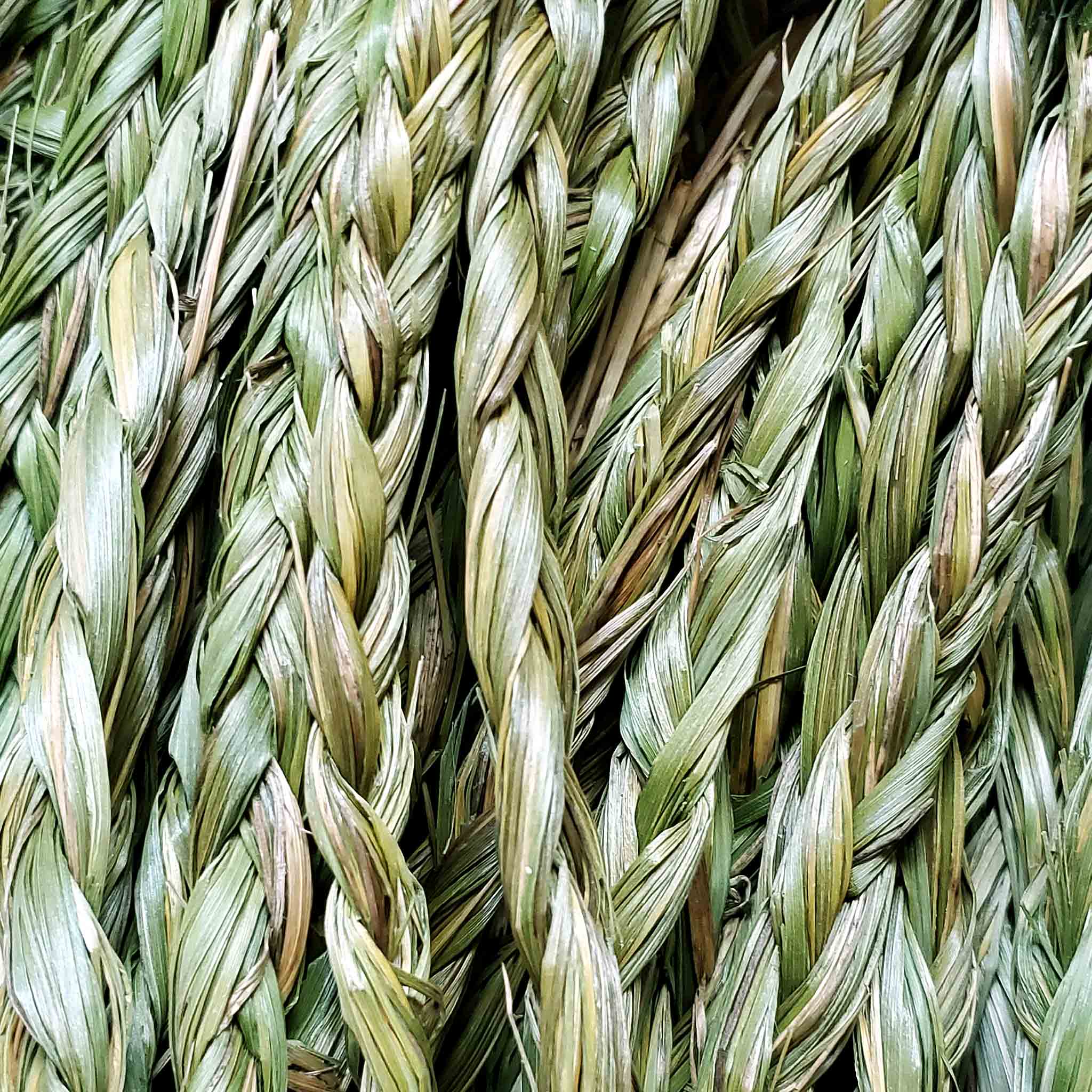 Monague Indigenous Crafts & Gifts - Wholesale Wierrookbundel - Bulk Smudges, 24 stuks2