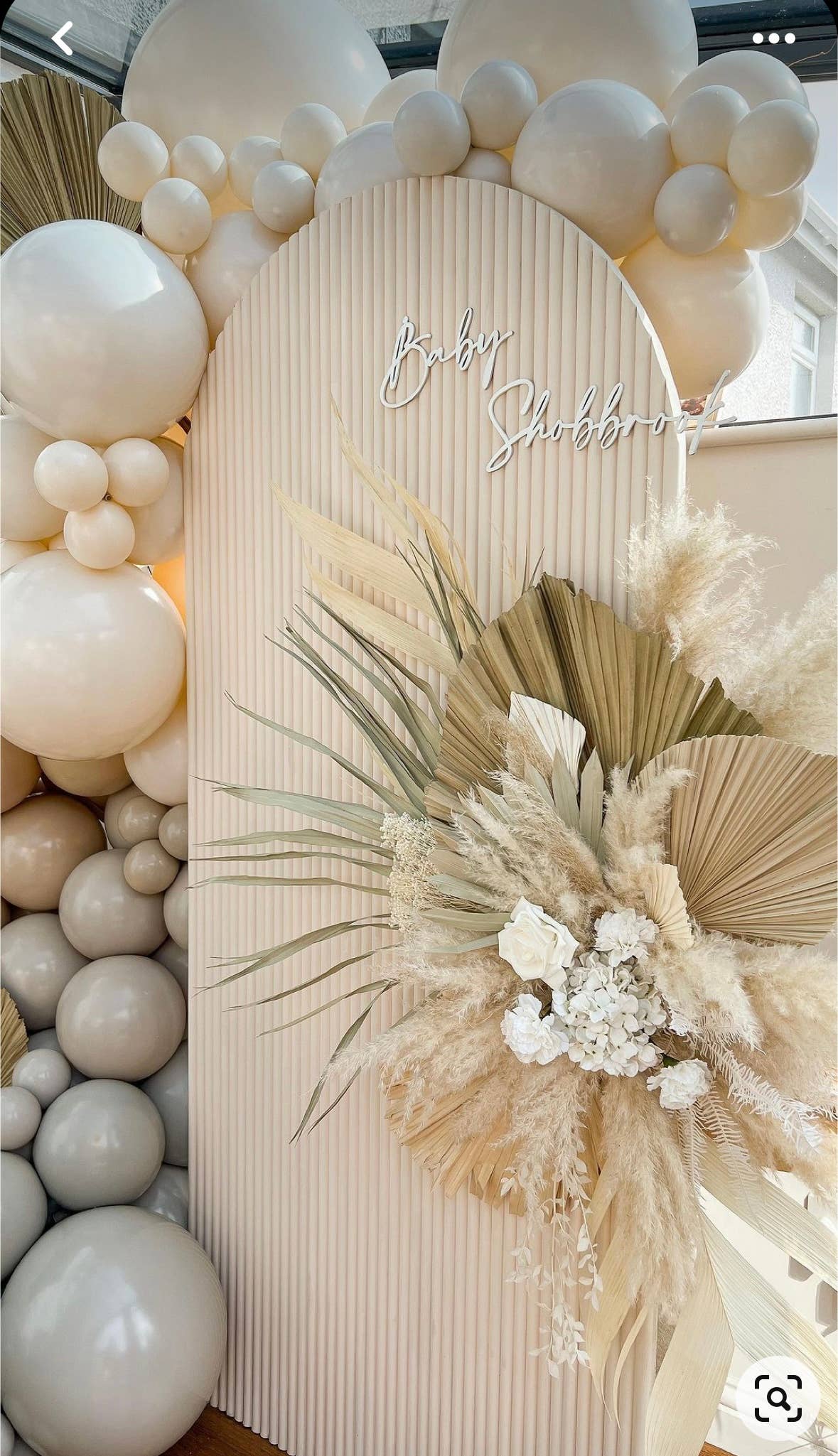 The Blooming Palm – wholesale Decal – Party decorations – Palm Leaves, Large Dried Trimmed Organic Tropical Dried Fan7