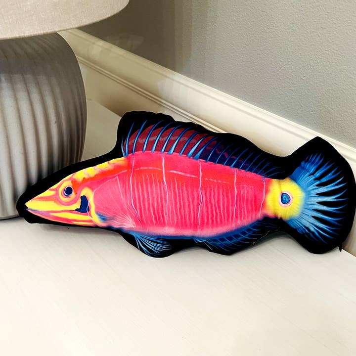 Mystery Wrasse Pillow for wholesale by Reef of Clowns