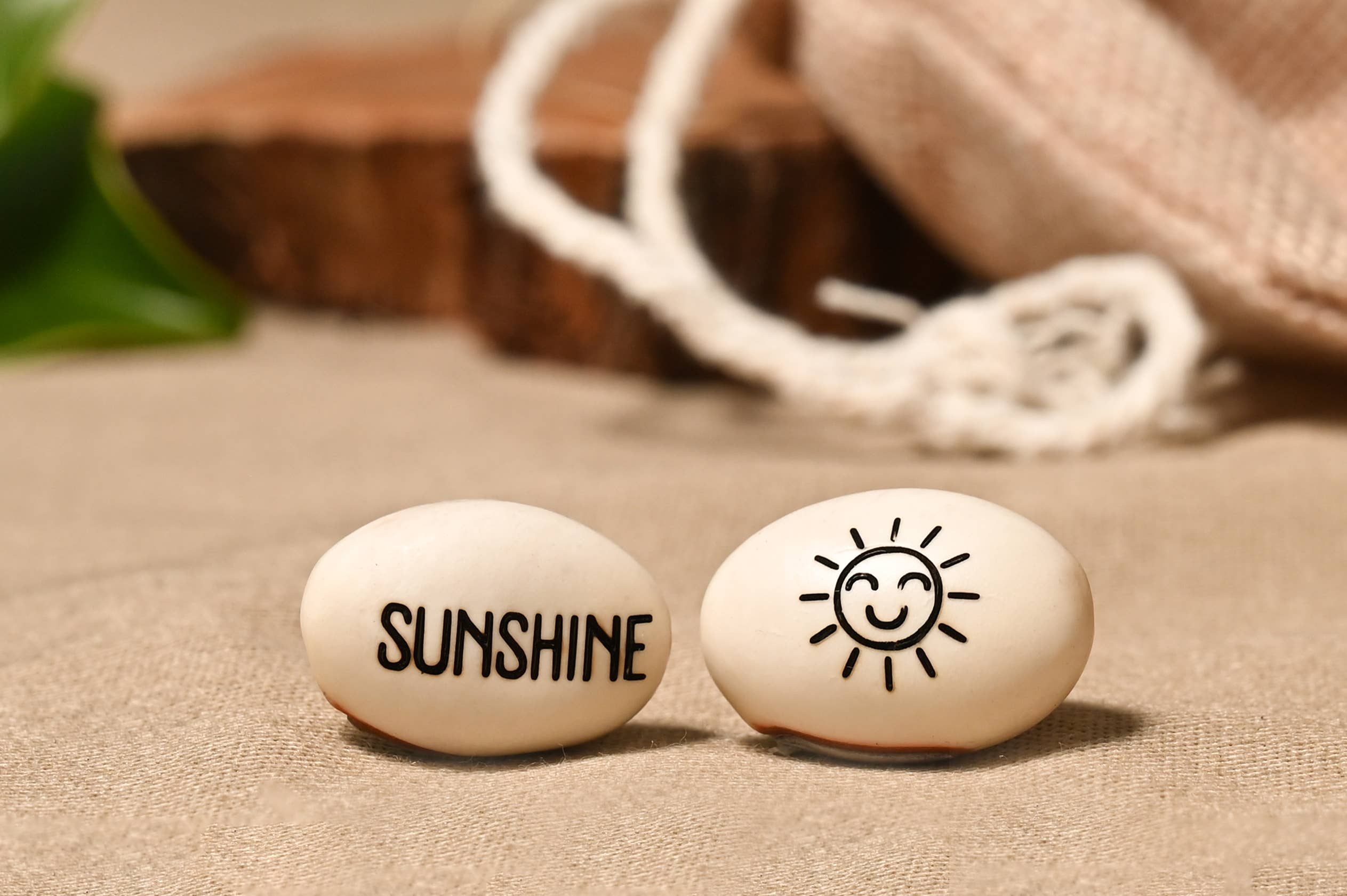 Live Love Bean - Wholesale Plant seeds - Magic Beans (Engraved Seeds) - Loose13