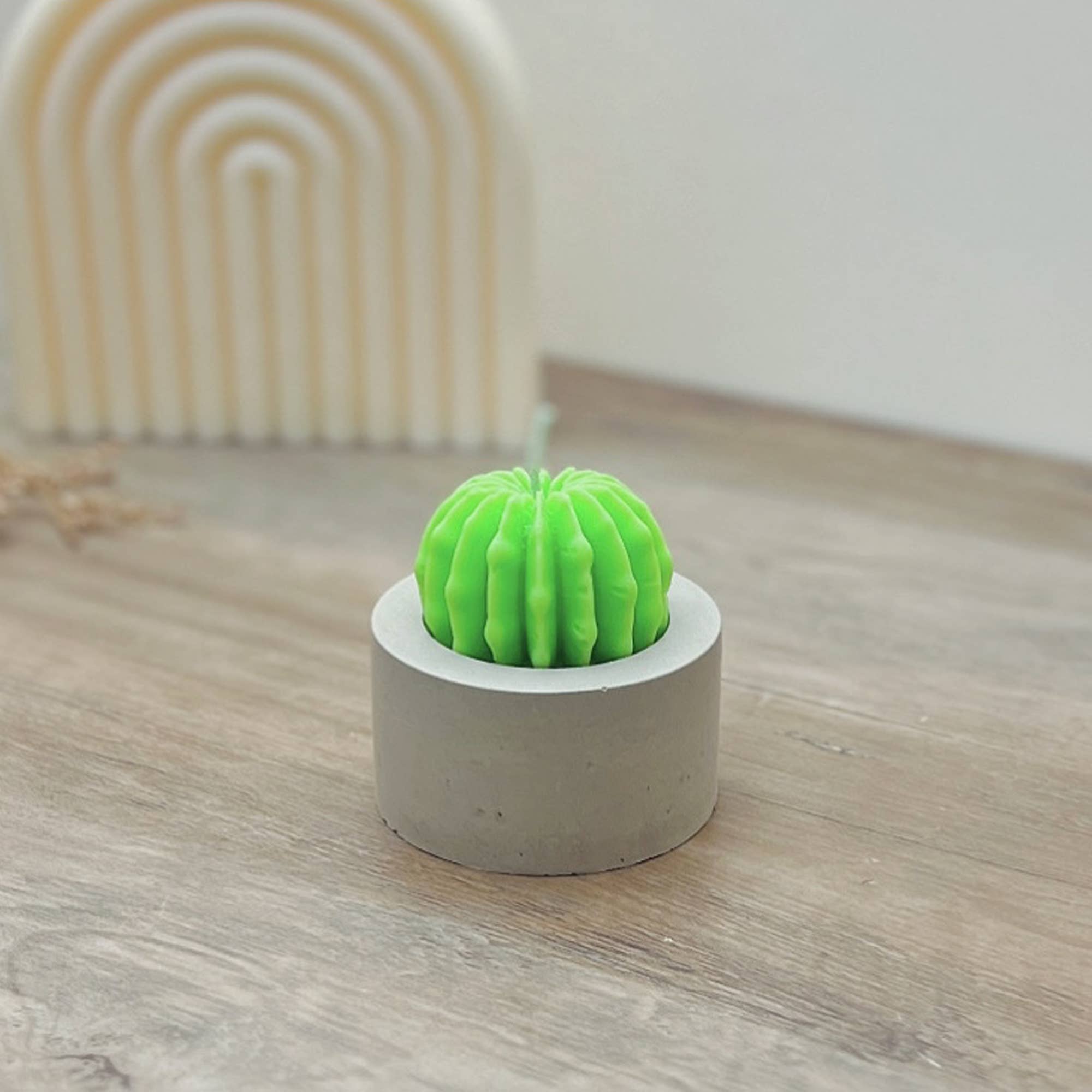 Eli and Things – wholesale Novelty candle – Round Barrel Cactus Candle - Cactus Home Decor - Cacti Gifts8