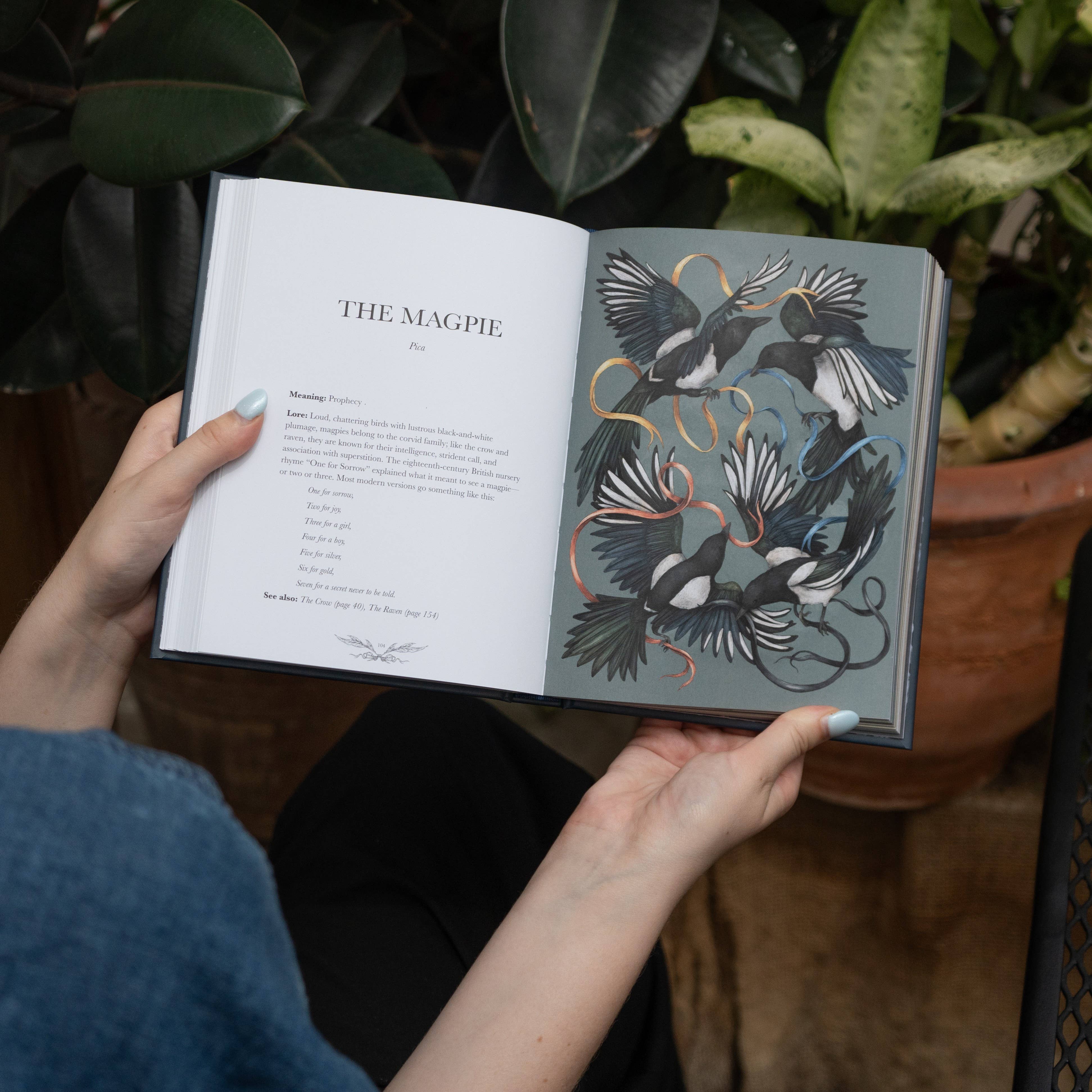 Simon & Schuster - Wholesale Nature & Outdoors - Ornithography by Jessica  Roux7