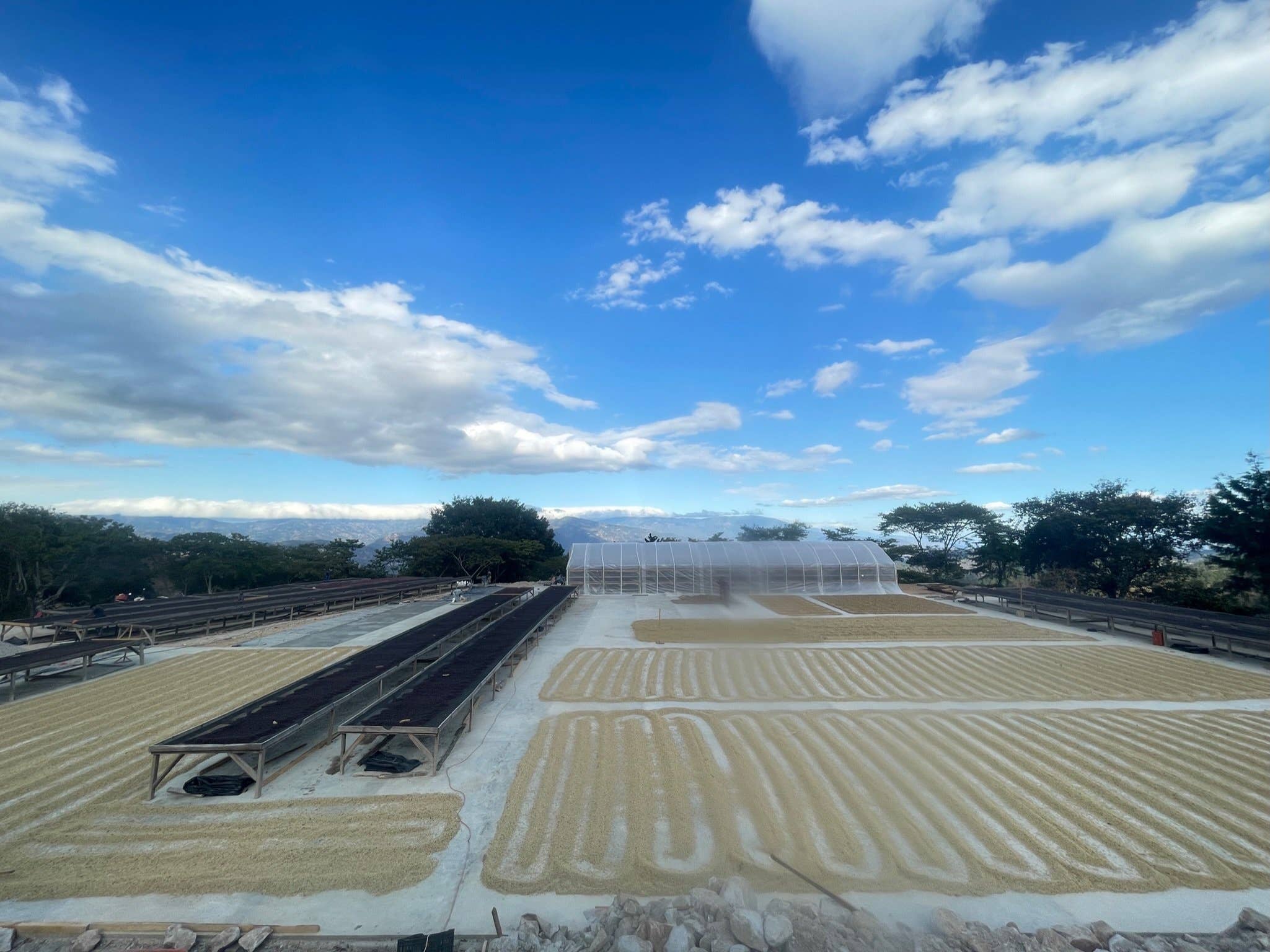 East One Coffee Roasters - Wholesale Coffee Beans - La Joya1