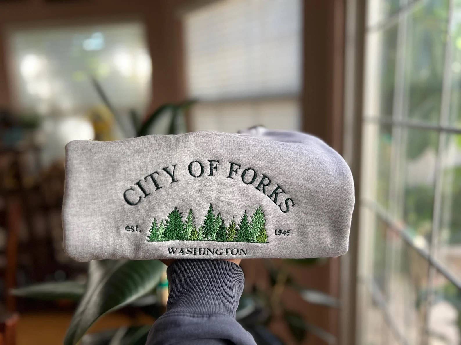 Grijs Geborduurde trui van de stad Forks, Washington voor groothandel op Faire