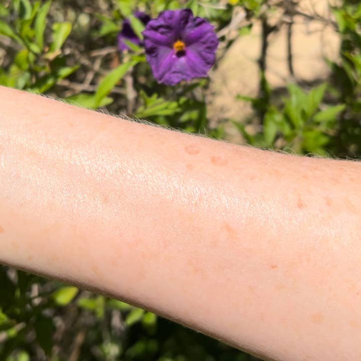 Bella Vida Santa Barbara - Wholesale Sunscreen - Vitamin C Sunscreen SPF 305