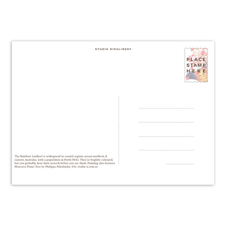 STUDIO NIKULINSKY - Wholesale Postcard - Postcard: Rainbow Lorikeets - Australia1