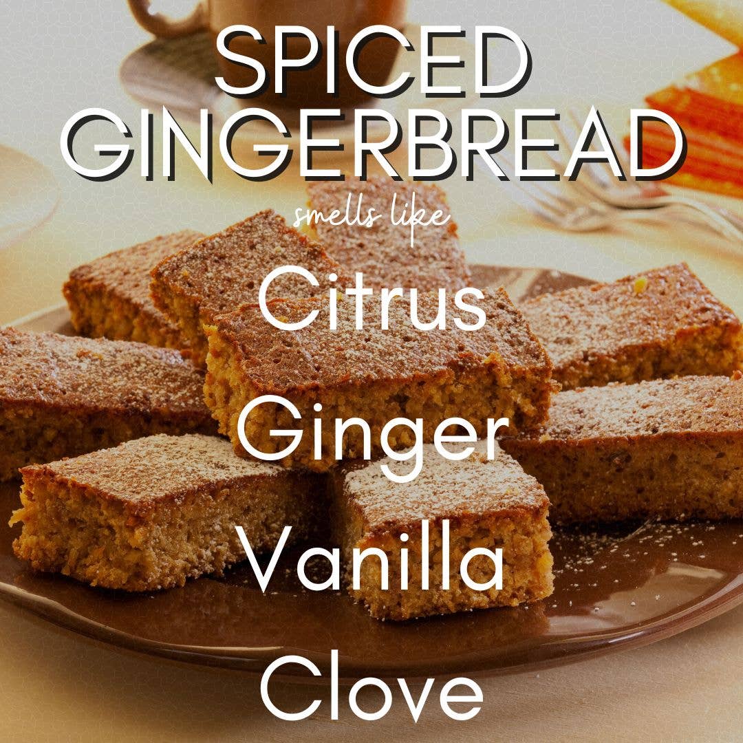 The Diya Co - Wholesale Jar/Filled Candle - 12 oz White Label Holiday Collection | Coconut-Soy Candles 10