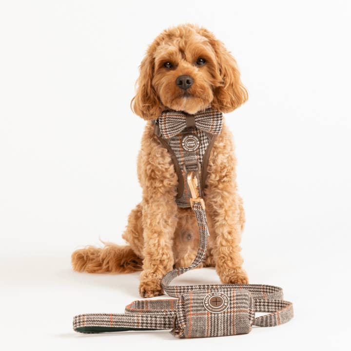 Bailey and Coco – wholesale Pet leash – Dog – Dog Lead 5ft - Colour Drops - Heritage Plaid5