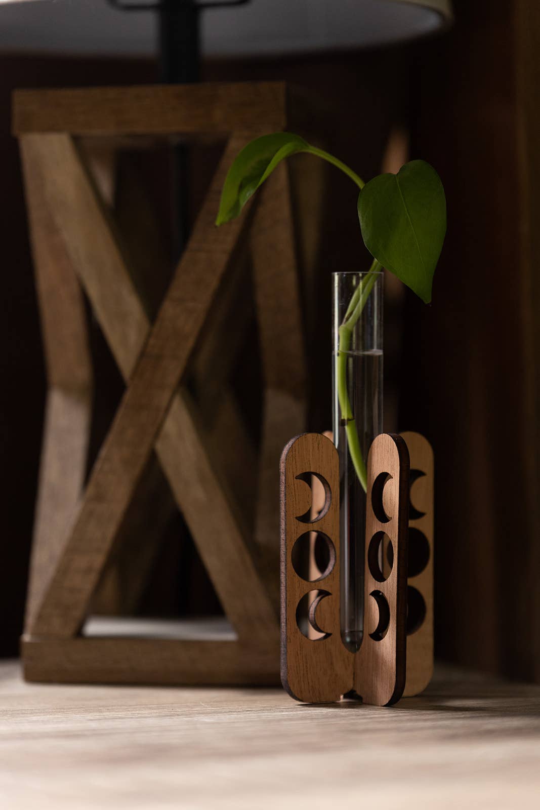 PlantsNsht – Vaso de plantas por atacado – Estação de Propagação de Mesa Fases da Lua5