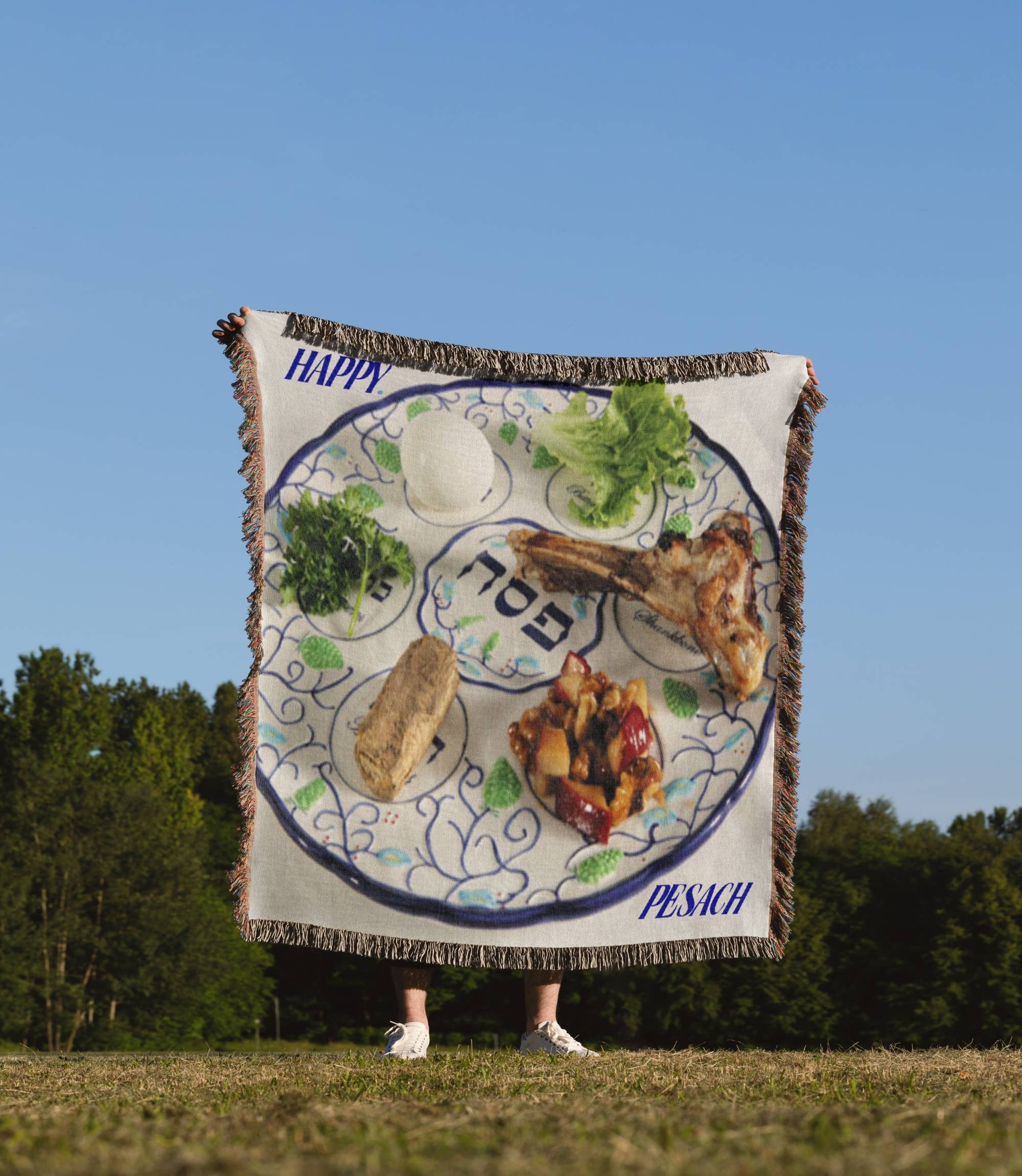 3dRose - Wholesale Throw Blanket - 3dRose, Pesach Plate With Passover Foods, Blanket1