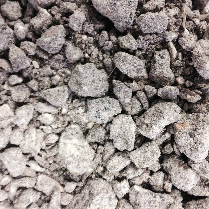 Black Djaoui Incense 1Kg for wholesale by WLM