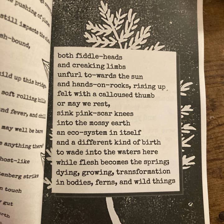 Coyotesnout - Wholesale Poetry & Drama - Unsightly Poetry Zine1