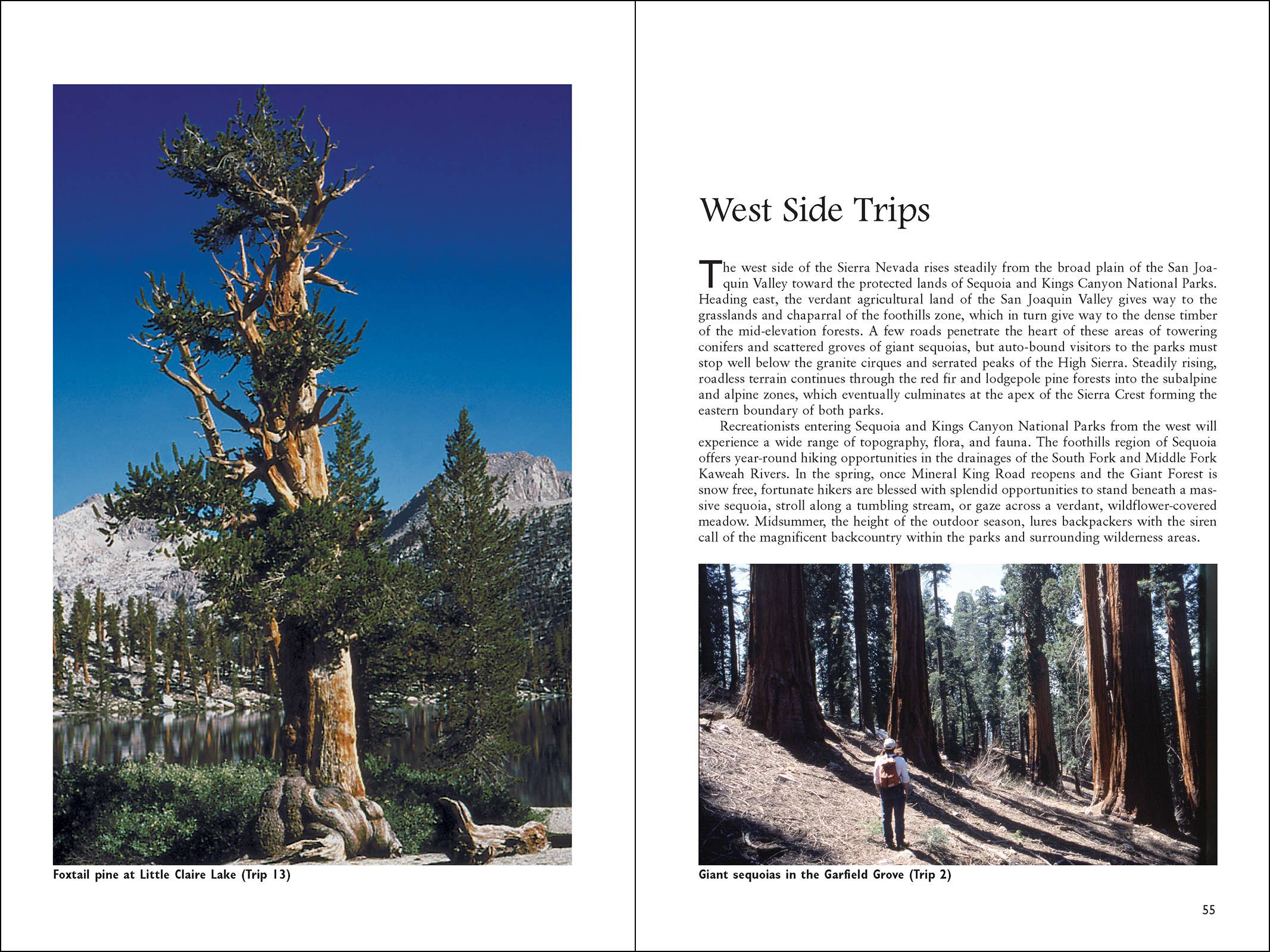 AdventureKEEN - Wholesale Nature & Outdoors - Sequoia & Kings Canyon National Parks5