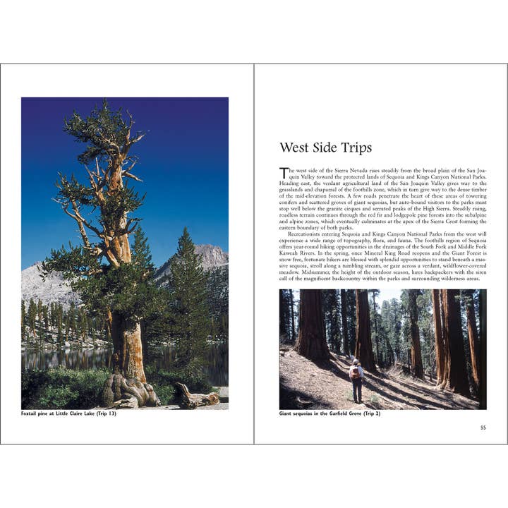 AdventureKEEN - Wholesale Nature & Outdoors - Sequoia & Kings Canyon National Parks5
