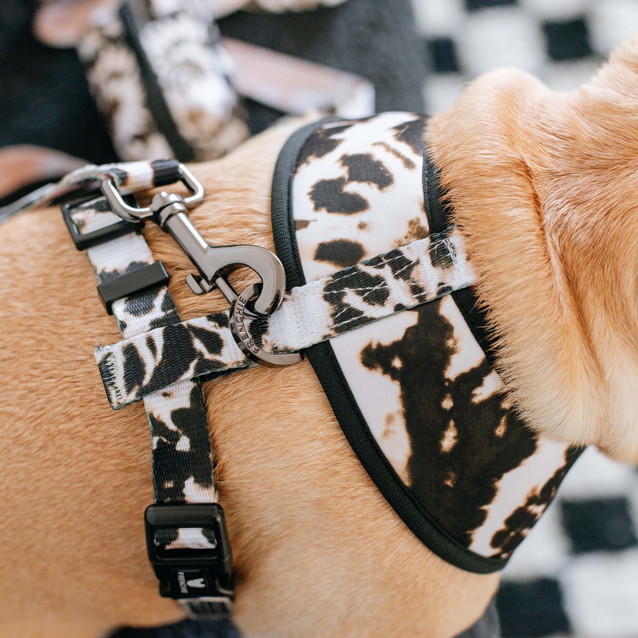 Frenchie – wholesale Pet harness – Dog – Frenchie Duo Reversible Harness - Earthy Tie Dye8