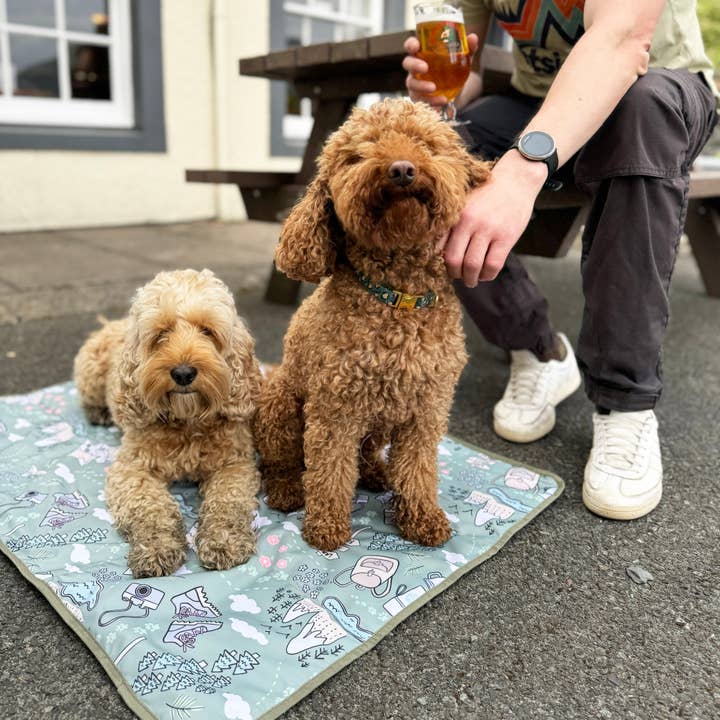 Syd&Co - Wholesale Pet Mat - Dog - Paws Outdoors Dog Settle Mat Travel Mat