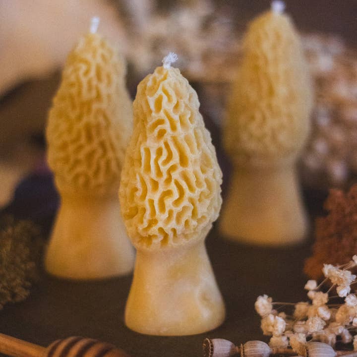 The Ramblin' Bee - Wholesale Novelty Candle - Morel Mushroom Beeswax Candle