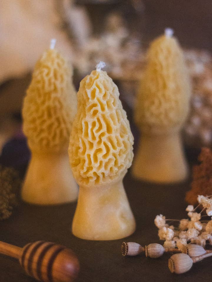 Candela al cera d’api a forma di fungo spugnola per la vendita all'ingrosso da parte di The Ramblin' Bee