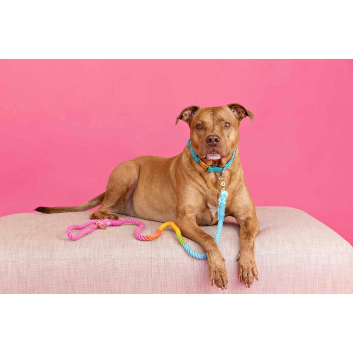 Pink Papyrus | Premium, Durable, & Stylish Dog Products - Wholesale Pet Leash - Dog - Rope Leash MEGA Bundle | Dog Leash Pack | Dog Lead Bundle 3