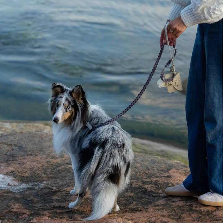 Geflochtene Hundeleine - Mond für den Großhandel von Minla