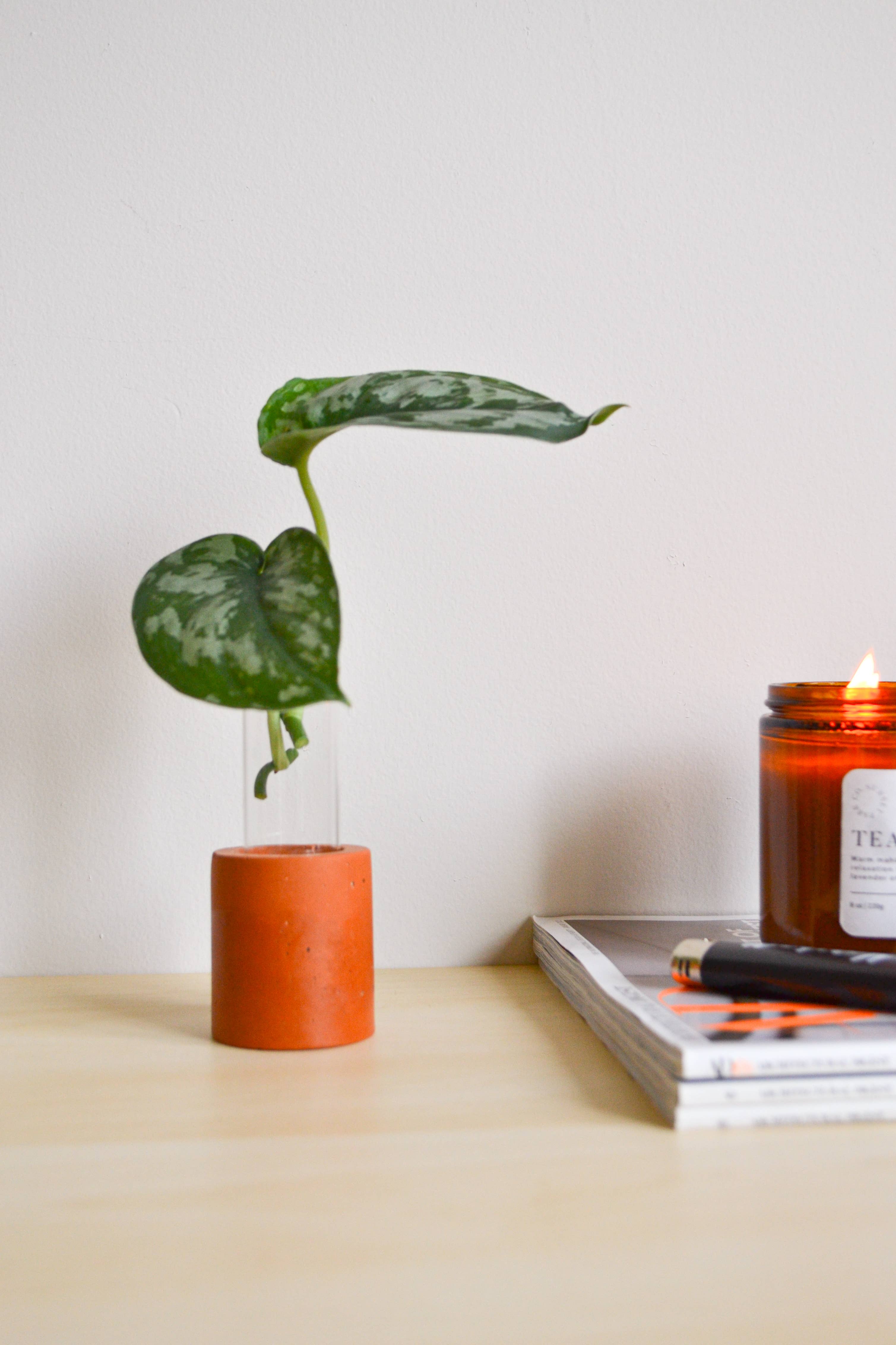 LindaMakess - Wholesale Vase - Single Concrete Plant Propagation Test tube Stand9